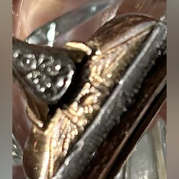 The most dainty ring you will ever find it is a size 3 and 100 years old - Picture 9 of 11